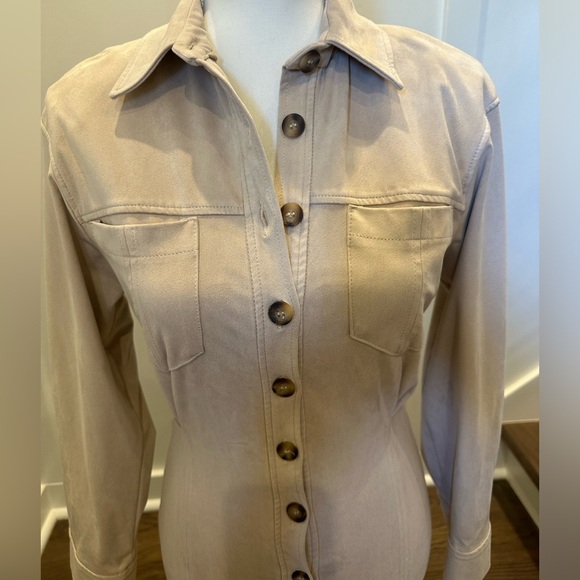 Zara Micro Suede Dress - Picture 2 of 4